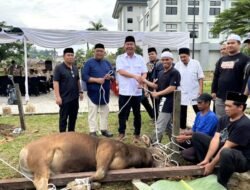 Momentum Hari Raya Idul Adha 1446 H, Sekretariat DPRD Kaltim Gelar Salat Ied Berjamaah Sekaligus Berkurban 7 Ekor Sapi