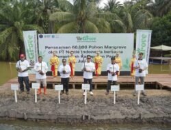 Nestlé Indonesia Bersama Pemkab Paser Tanam 60.000 Pohon Mangrove guna Memperkuat Restorasi Ekosistem Pesisir